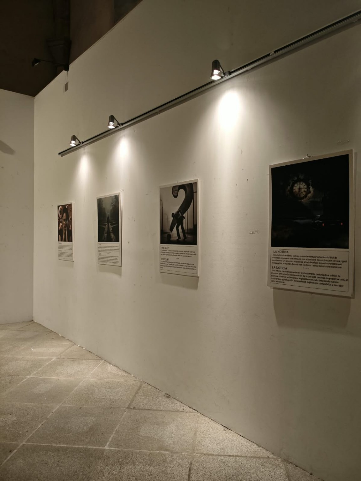 Plafons d’Imatges del Dol exposats a Àvila