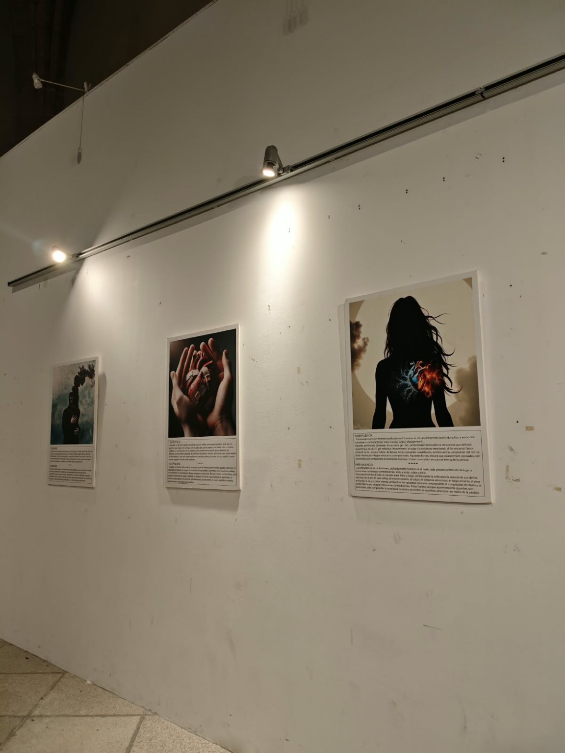 Detall dels plafons de l’exposició